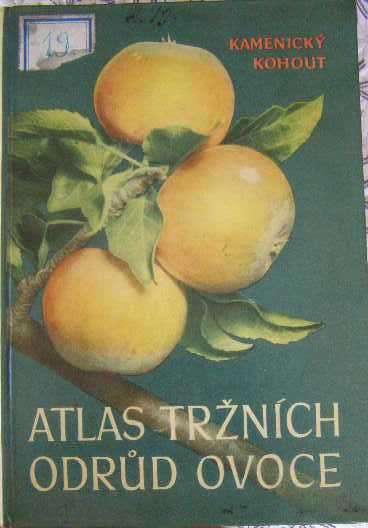 Atlas tržních odrůd ovoce - Kamenický, Kohout