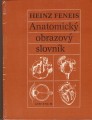 Anatomický obrazový slovník - H. Feneis