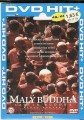 DVD Malý Buddha