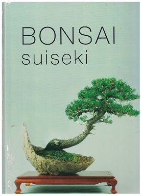 Bonsai suiseki - S. Matějka